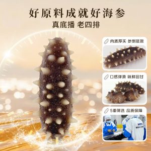 黑金大连海参4斤组合9-12只*4（36-48只）